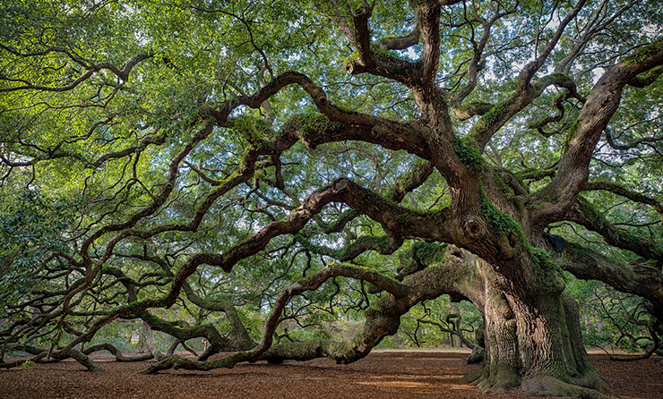 Are We Ready to Live to 100?