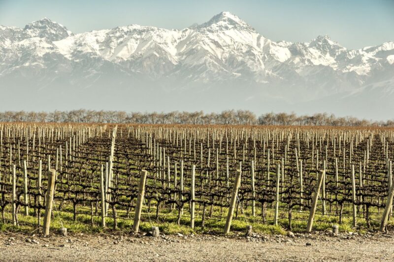 Mastering Mendoza: An Insider’s Guide to Luxury and Adventure in Argentina’s Top Winemaking Region